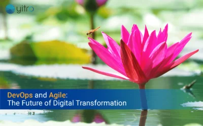 DevOps and Agile: The Future of Digital Transformation