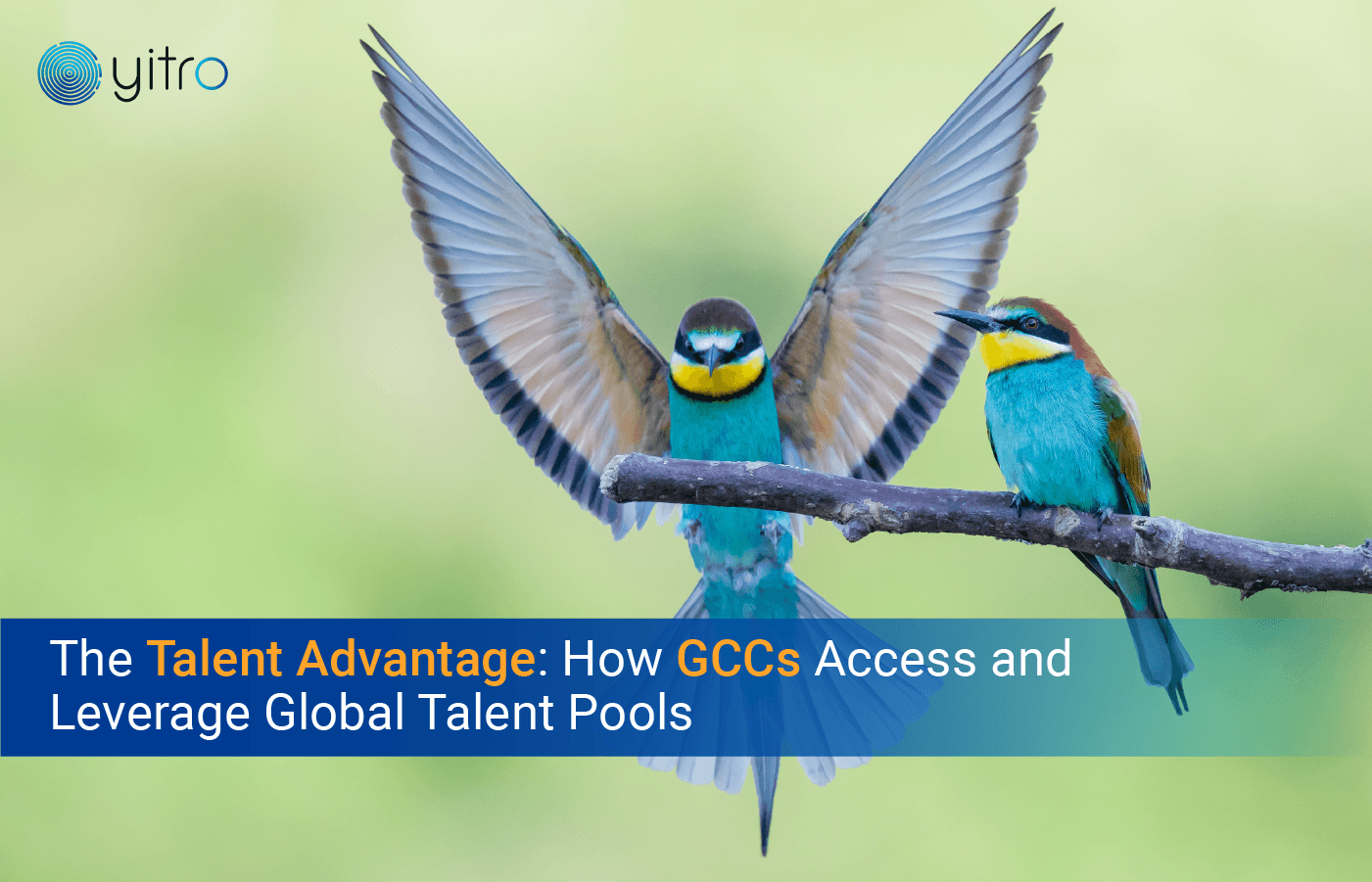 GCCs access and leverage global talent pools the talent advantage banner image