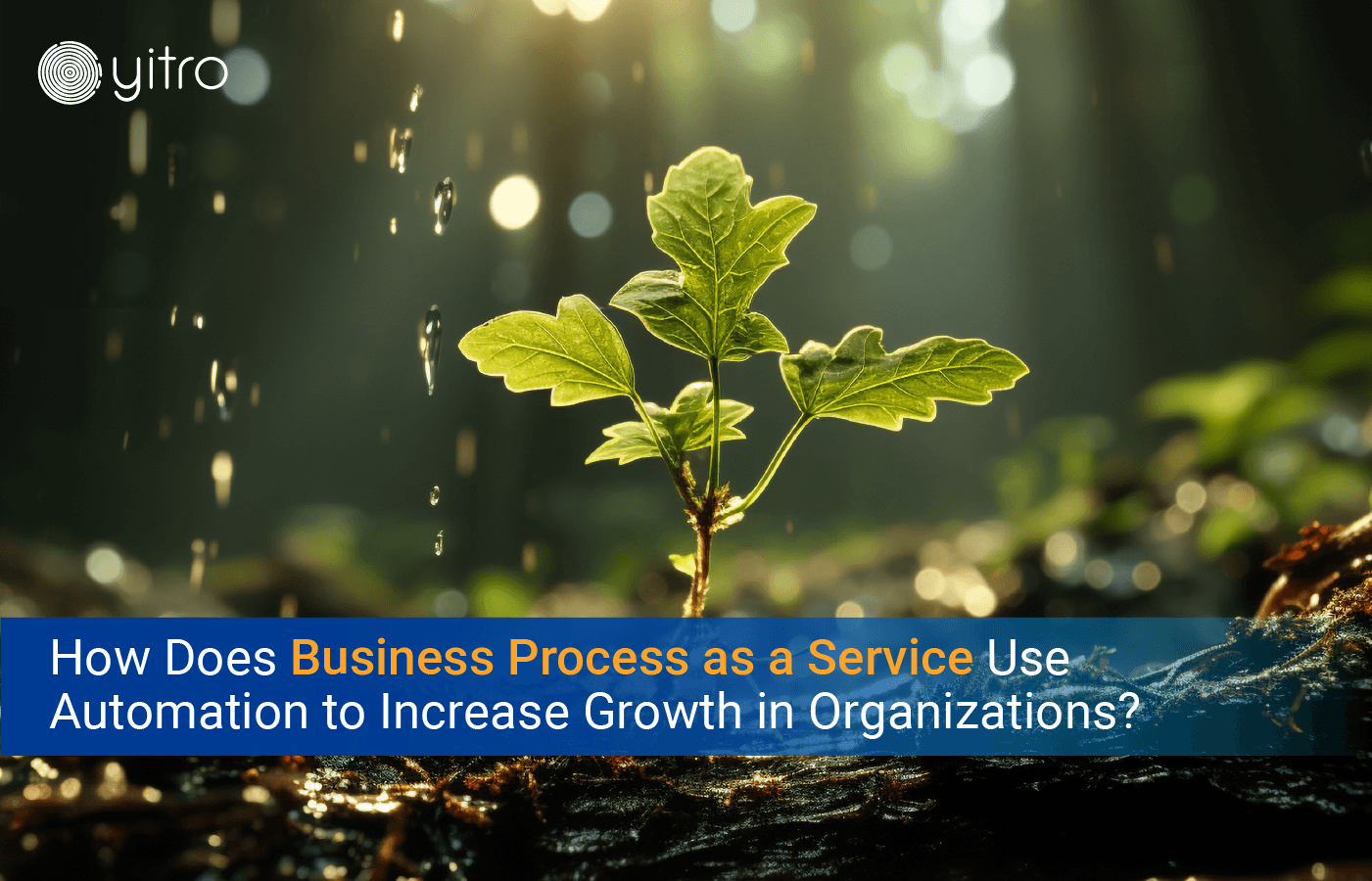 Business Process as a service automation to increase growth in organization blog banner (1)