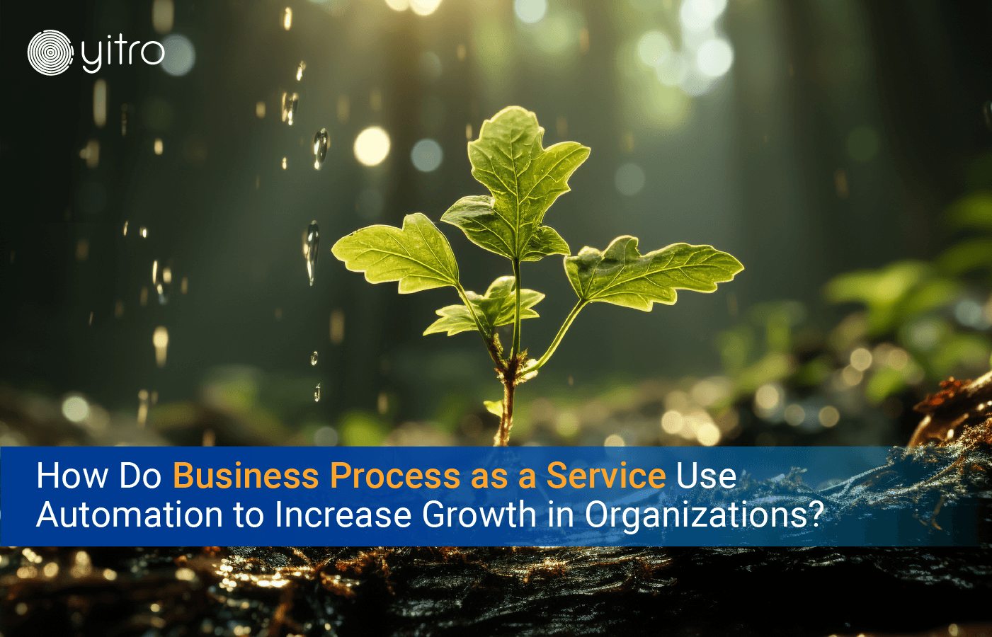 Business Process as a service automation to increase growth in organization blog banner