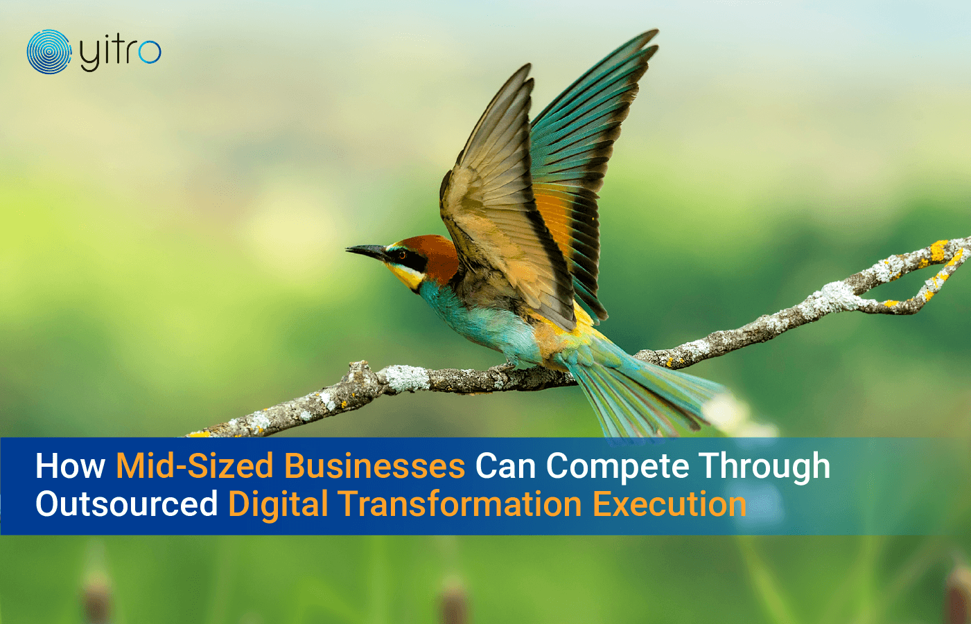 Digital Transformation Execution How Mid-Sized Businesses Can Compete Through Outsource blog banner