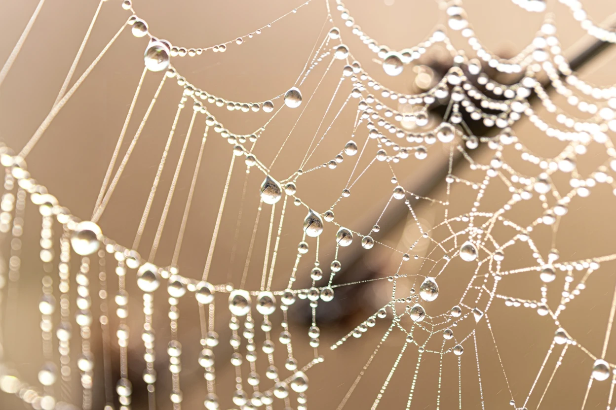 Web network representing complex agreements in legal process outsourcing
