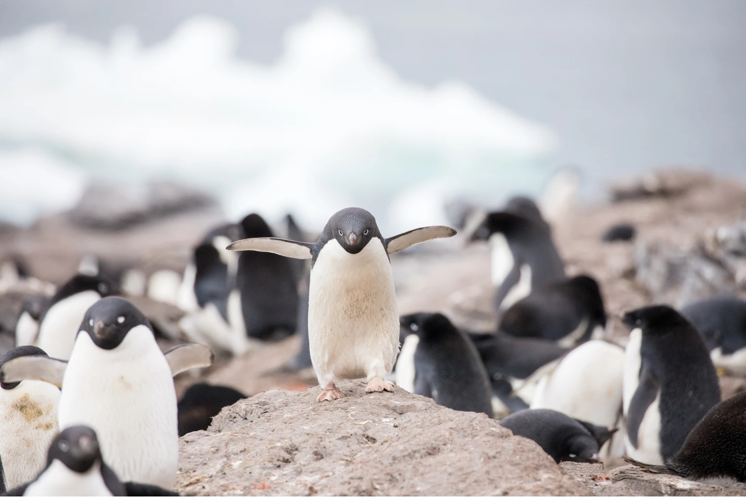 Salesforce Marketing Cloud driving personalized engagement