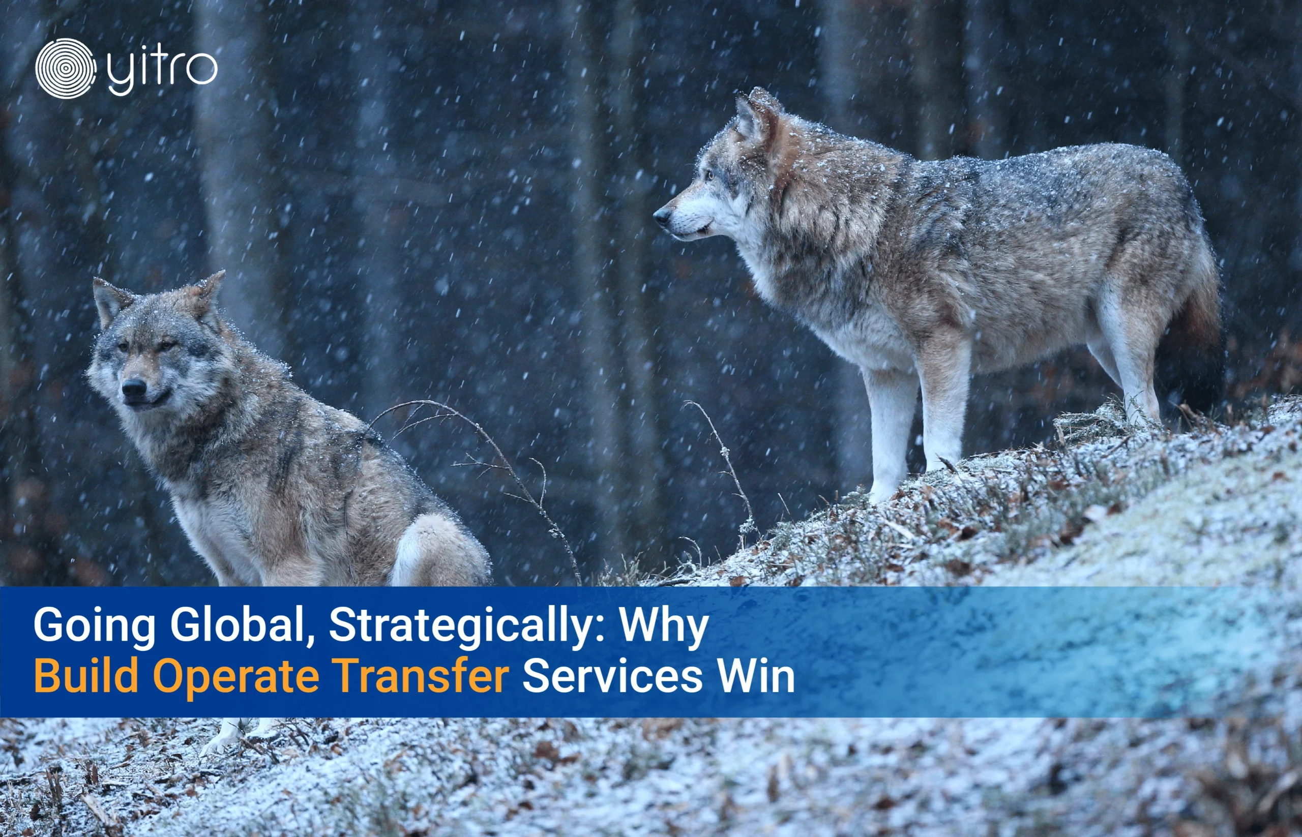 GCCs Global Capability Center Going Global Strategically Why Build Operate Transfer Services Win blog banner