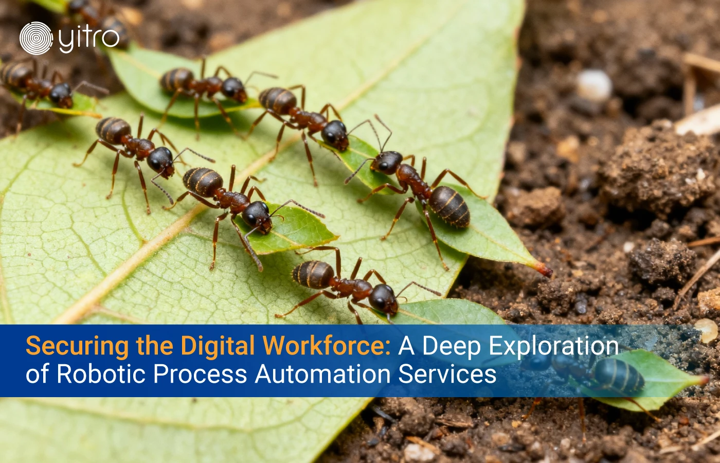Securing the digital workforce a deep exploration of Robotic Process Automation Services
