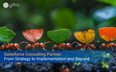 Salesforce Consulting Partner: From Strategy to Implementation and Beyond