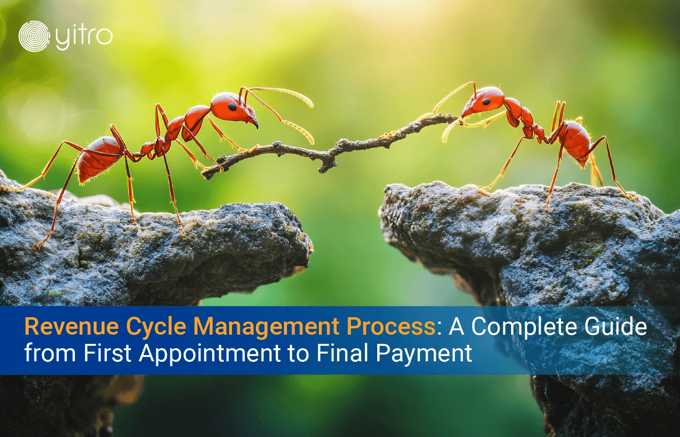 Revenue Cycle Management Process A Complete Guide from First Appointment to Final Payment blog banner