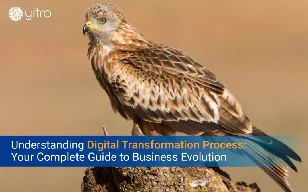 Understanding Digital Transformation Process Your Complete Guide to Business Evolution blog banner