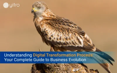 Understanding Digital Transformation Process: Your Complete Guide to Business Evolution