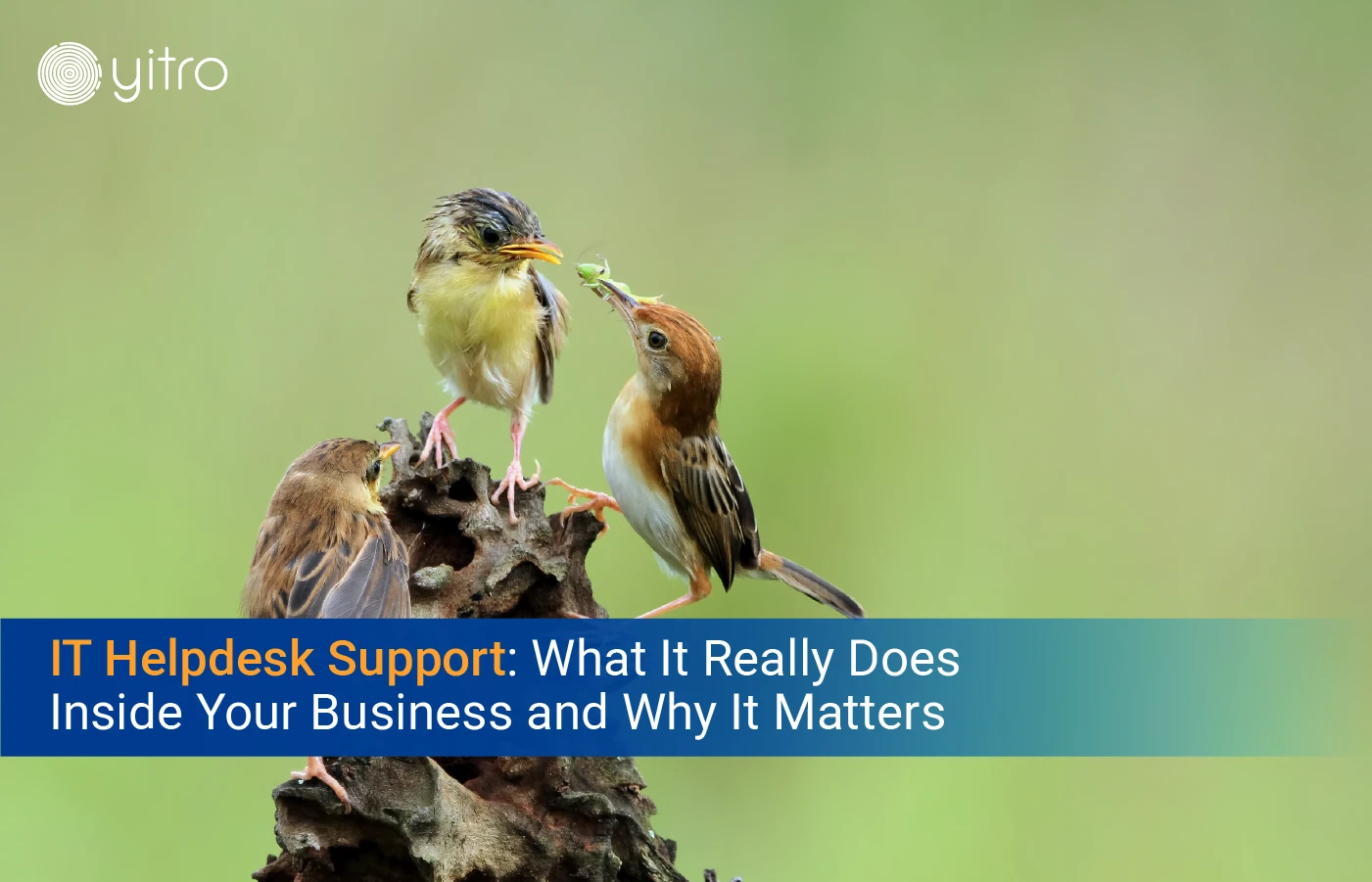 IT Helpdesk Support What It Really Does Inside Your Business and Why It Matters blog banner