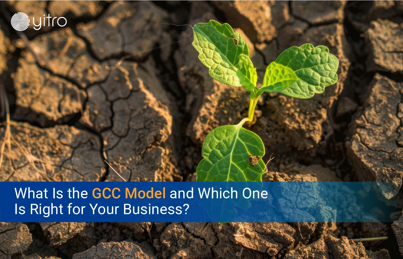 What Is the GCC Model and Which One Is Right for Your Business blog banner