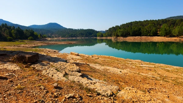 HR consultancy services integrating HR systems employee lifecycle automation compliance and performance reporting in organizations