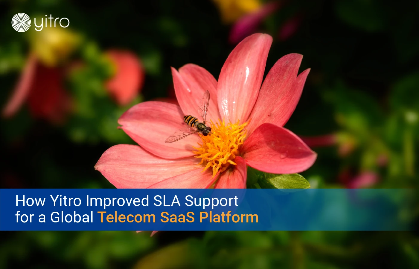 How Yitro Improved SLA Support for a Global Telecom SaaS Platform case study