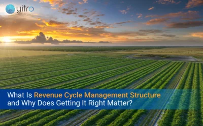 What Is Revenue Cycle Management Structure, and Why Does Getting It Right Matter?