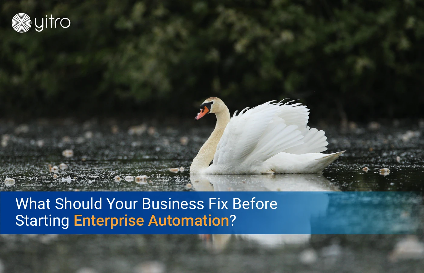 What Should Your Business Fix Before Starting Enterprise Automation blog banner