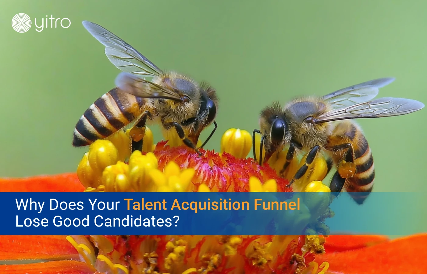 Why Does Your Talent Acquisition Funnel Lose Good Candidates blog banner